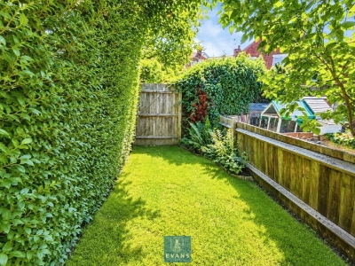 Picture 11